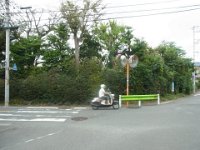 RIMG7908