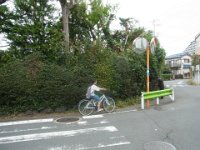RIMG7919
