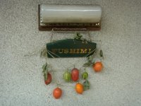 RIMG7935