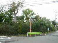 RIMG8023