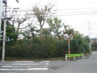 RIMG8026