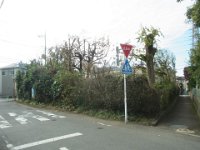 RIMG8373