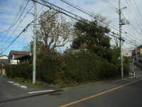 RIMG8377