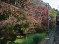 RIMG8441