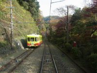 RIMG8444