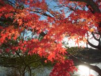 20181208