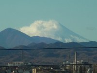 RIMG8755