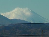 RIMG8769