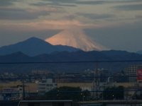 RIMG8843