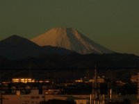 RIMG9174