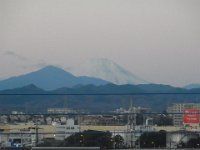 2019年