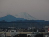 RIMG9366