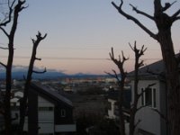 RIMG9372