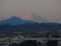 RIMG9375