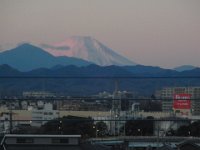 RIMG9378