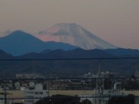 RIMG9381