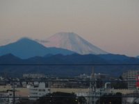 RIMG9384