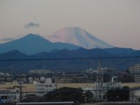 RIMG9386