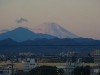 RIMG9387