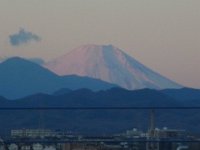 RIMG9388