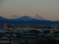 RIMG9395