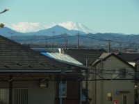 RIMG9514