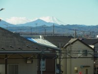 RIMG9515