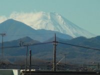 RIMG9517