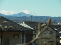 RIMG9523