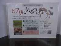 RIMG9681