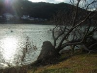 2019年02月