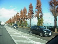 RIMG0068