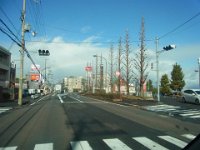 RIMG0071