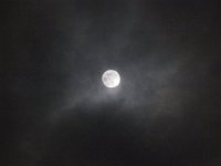 RIMG0205