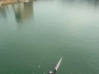 RIMG0298