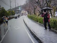 RIMG0510