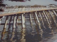 RIMG0586