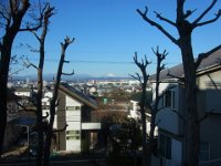 2019年04月