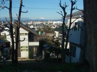 RIMG0941