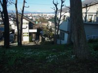 RIMG0948