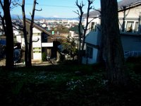 RIMG0948X