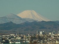 RIMG0954