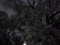 20190410