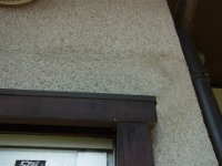RIMG1768