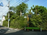 RIMG2338
