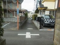 RIMG2437