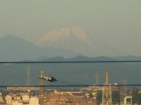 RIMG2679