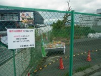 RIMG2951