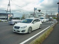 RIMG2952