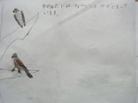 RIMG2976
